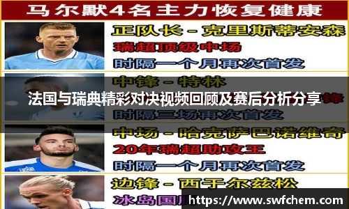 法国与瑞典精彩对决视频回顾及赛后分析分享